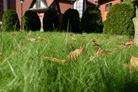  Kościół jesienią 