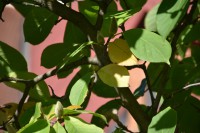  Kościół jesienią 