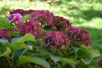  Kościół jesienią 