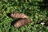  Kościół jesienią 