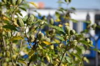  Kościół jesienią 