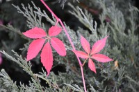  Kościół jesienią 