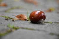  Kościół jesienią 