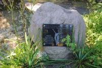  Pielgrzymka Żywego Różańca 