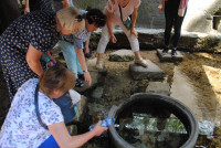  Pielgrzymka Żywego Różańca 