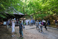  Pielgrzymka Żywego Różańca 