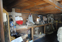  Pielgrzymka Żywego Różańca 