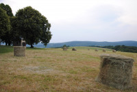  Pielgrzymka Żywego Różańca 