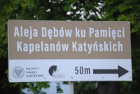  Pielgrzymka Żywego Różańca 