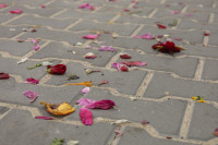  Boże Ciało 2023 (cz. 2) 