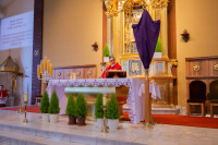  Niedziela Palmowa 2024 