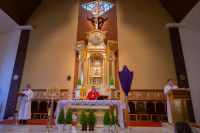  Niedziela Palmowa 2024 