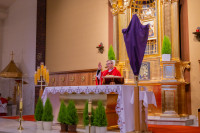  Niedziela Palmowa 2024 