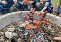  Pielgrzymka Ministrantów, Scholi Ave, Lektorów 2024 