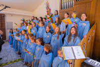  Niedziela Palmowa 2025 