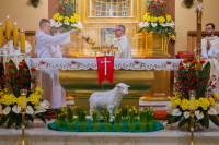  Liturgia Wigilii Paschalnej 2025 