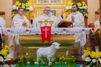  Liturgia Wigilii Paschalnej 2025 