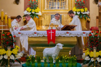  Liturgia Wigilii Paschalnej 2025 